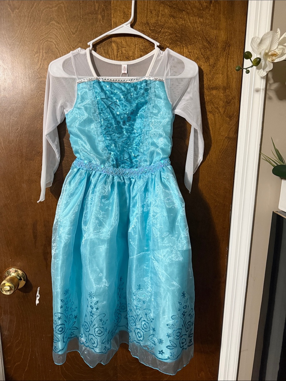 Girls Light Aqua Tulle Party Dress with Sheer Sleeves